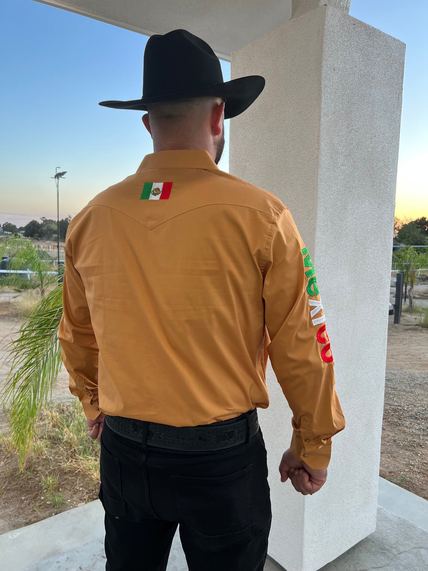 2 MEXICO CAMISA MUSTARD